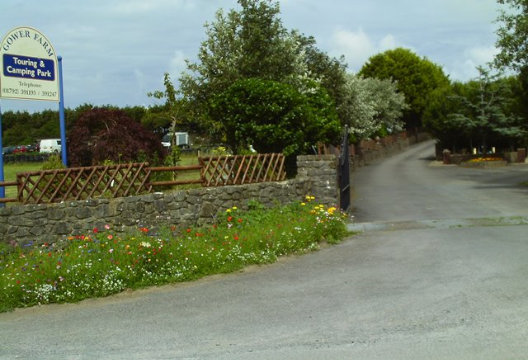 Gower Farm Touring and Camping Park | Gower Campsite